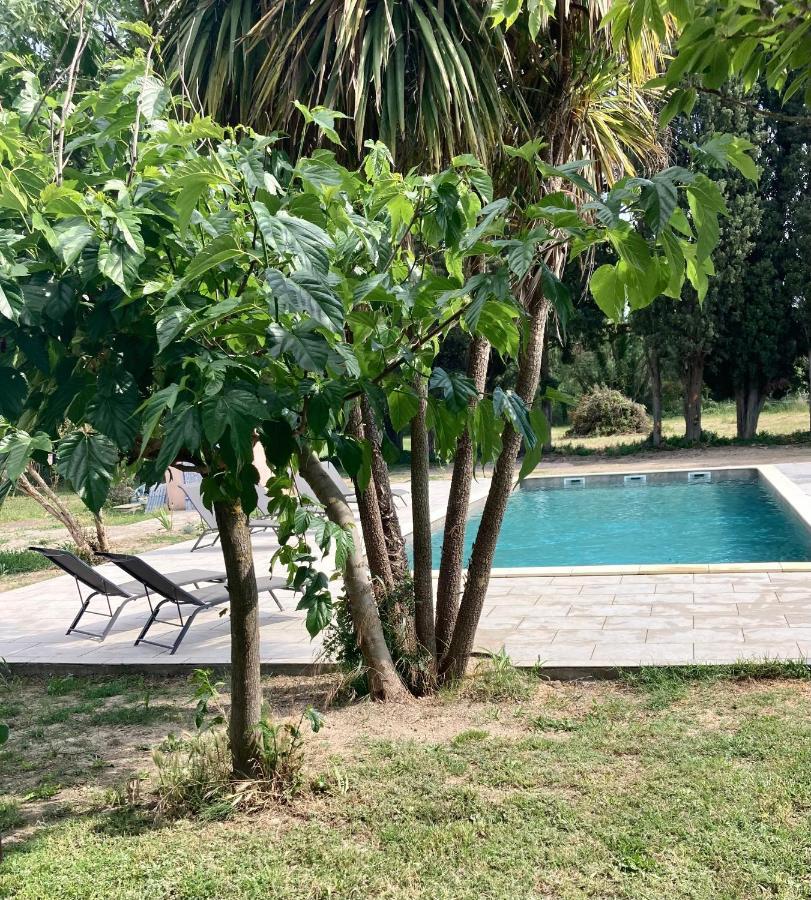 Hotel Mas Du Petit Claux Barbentane Esterno foto